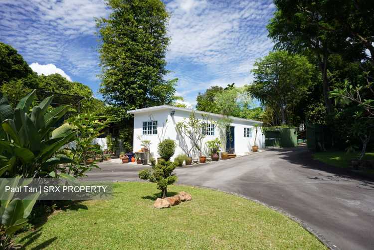 Pasir Panjang Road thumbnail photo